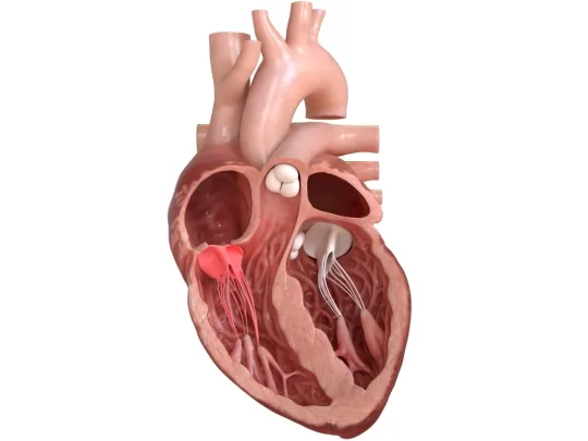heartvalvesurgerymumbai-dramjadshaikhcardiacsurgeon